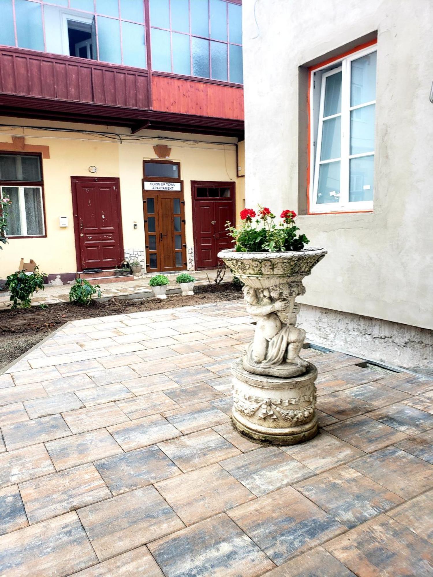 Sorin Up Town Apartment Sibiu Exterior foto
